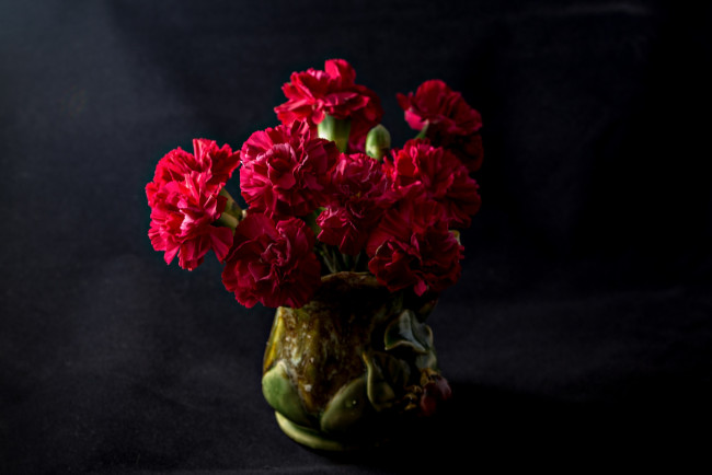 Обои картинки фото цветы, гвоздики, тёмный, фон, букет