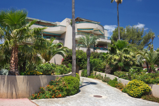 Обои картинки фото франция, города, - здания,  дома, пальмы, цветы, дорожка