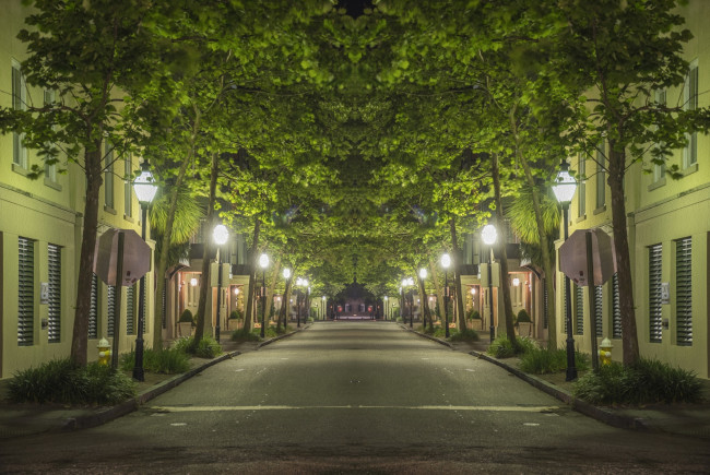 Обои картинки фото природа, дороги, здания, фонари, деревья