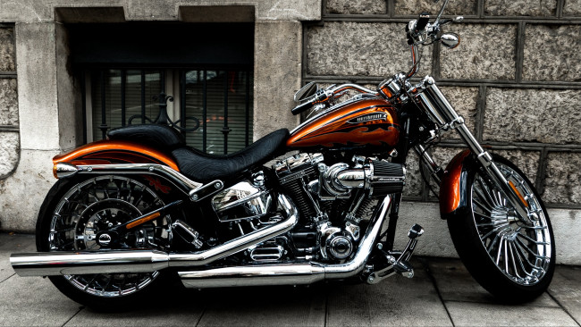 Обои картинки фото мотоциклы, harley-davidson, байк, мотоцикл