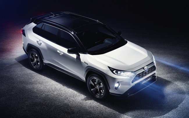Обои картинки фото автомобили, toyota, свет, тойота, белая, rav4, hybrid, 2018