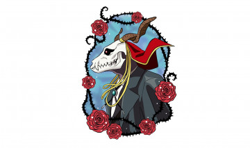 Картинка аниме mahou+tsukai+no+yome невеста чародея