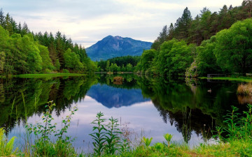 Картинка природа реки озера озеро