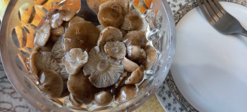 обоя еда, грибы,  грибные блюда, маринованные, опята