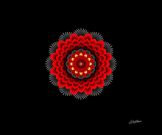 Обои картинки фото векторная графика, -графика , graphics, круг, орнамент, цветок