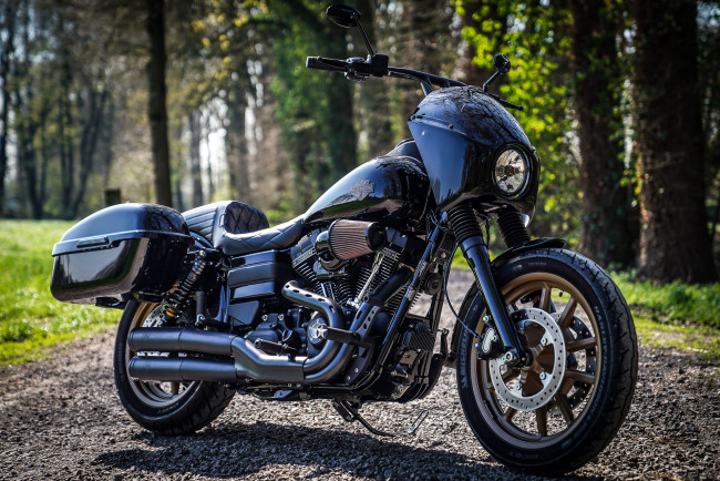 Обои картинки фото harley, мотоциклы, harley-davidson, мотоцикл, байк, thunderbike, customs