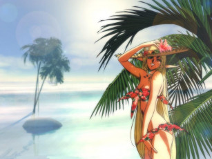 Картинка аниме lodoss