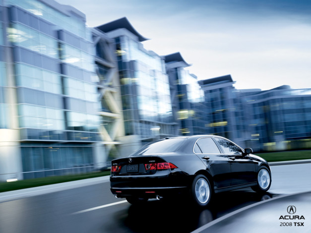 Обои картинки фото acura, tsx, автомобили
