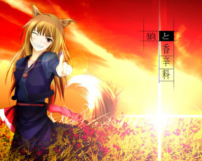 Картинка аниме spice and wolf