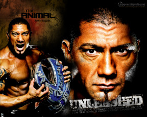 Картинка спорт wwe