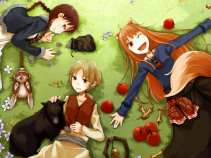 Картинка 212 kami to k& 244 shinry& аниме spice and wolf