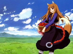 Картинка 212 kami to k& 244 shinry& аниме spice and wolf