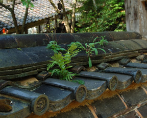 Картинка разное элементы архитектуры