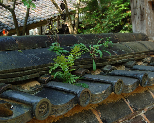 Обои картинки фото разное, элементы, архитектуры