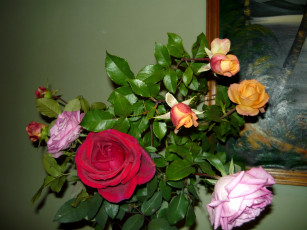 Картинка цветы розы букет