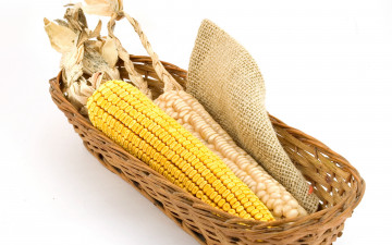 Картинка еда кукуруза