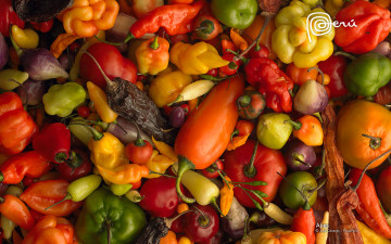 Картинка еда перец