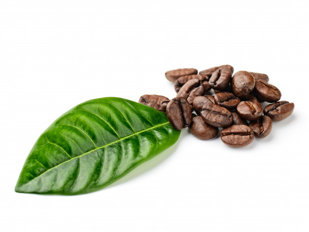 Обои картинки фото еда, кофе, кофейные, зёрна, напиток