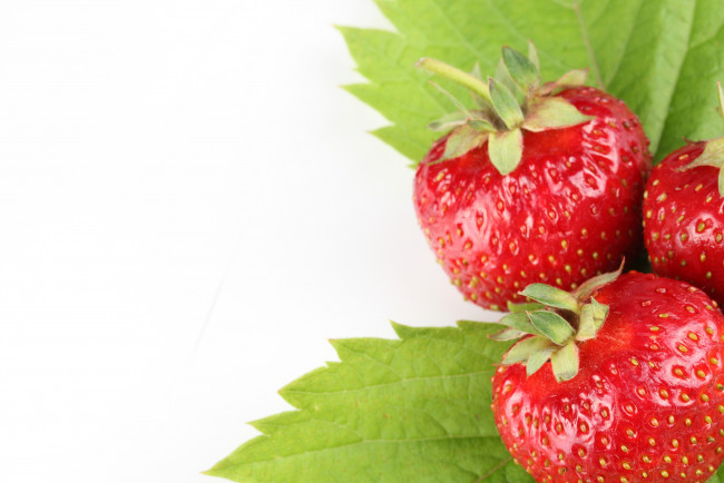 Обои картинки фото еда, клубника, земляника, ягоды