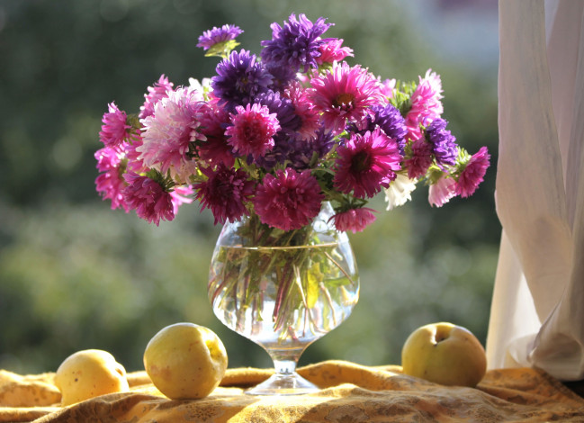 Обои картинки фото цветы, астры, букет, яблоки