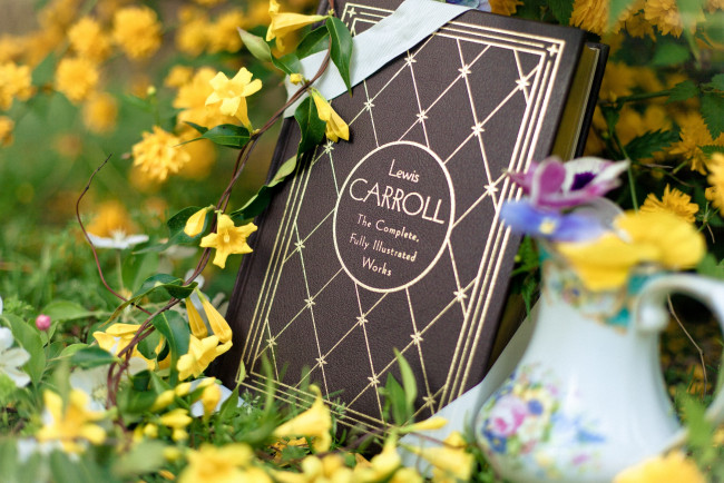 Обои картинки фото разное, канцелярия, книги, цветы, книга