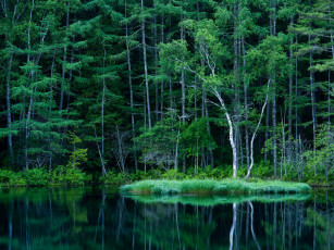 Картинка природа реки озера река лес