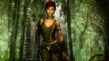 Картинка видео+игры the+elder+scrolls+v +skyrim фон взгляд эльфийка