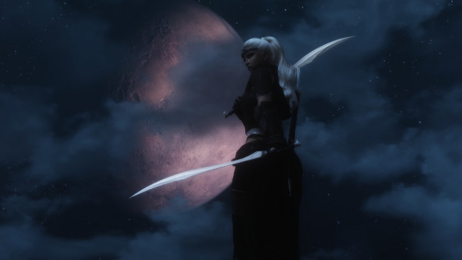 Обои картинки фото видео игры, the elder scrolls v,  skyrim, девушка, оружие, взгляд, фон