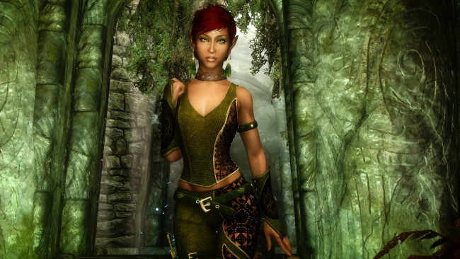 Обои картинки фото видео игры, the elder scrolls v,  skyrim, фон, взгляд, эльфийка