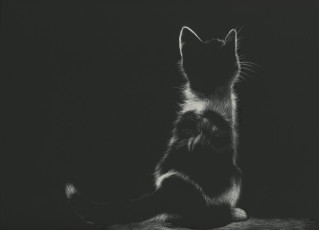 Картинка рисованное животные +коты котенок сидит