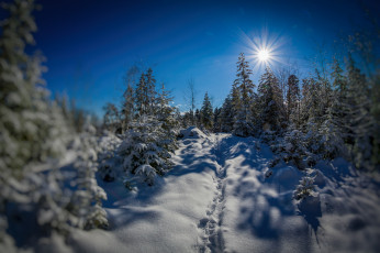 Картинка природа зима снег