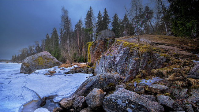 Обои картинки фото природа, зима, снег