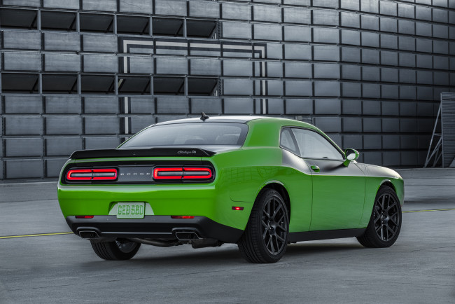 Обои картинки фото автомобили, dodge, зеленый, challenger, 2017г