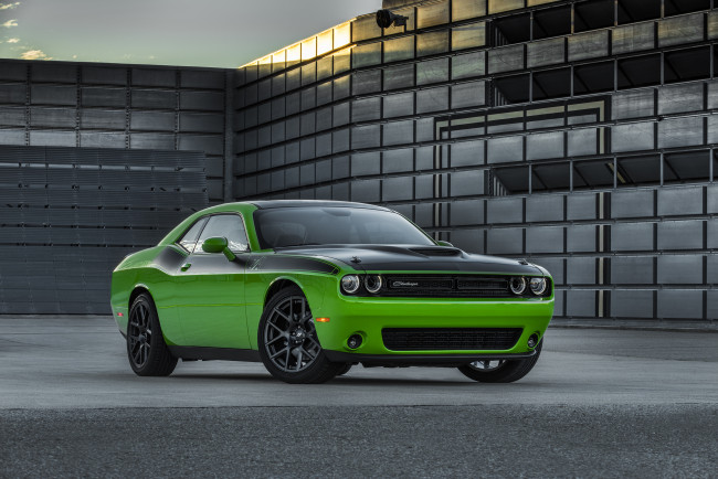 Обои картинки фото автомобили, dodge, зеленый, challenger, 2017г