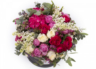 Картинка цветы букеты +композиции разноцветные белый фон