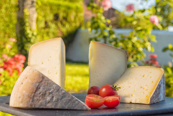 Картинка еда сырные+изделия растения помидор стол порция куски томаты