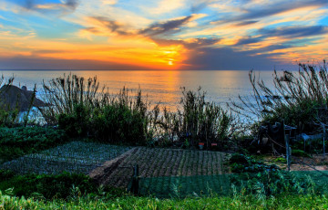 Картинка бразилия природа восходы закаты лблака растения огород водоем