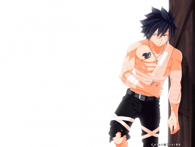 Обои картинки фото аниме, fairy tail, грей, хвост, феи