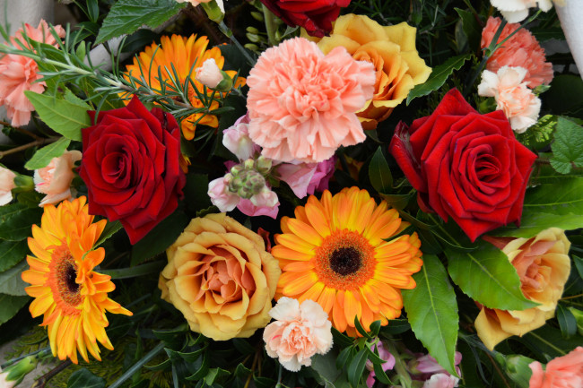 Обои картинки фото цветы, разные вместе, букет, много, разные