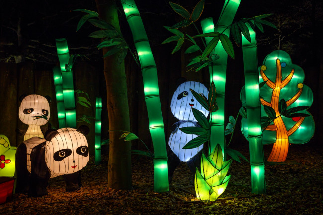 Обои картинки фото разное, иллюминация, вечер, животные, зоопарк, китай, красиво, огни, персонажи, представление, сказка, фигура, цветы