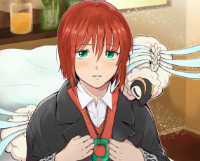 Картинка аниме mahou+tsukai+no+yome невеста чародея