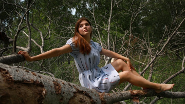 Картинка девушки -+рыжеволосые+и+разноцветные дерево ствол рыженькая поза платье