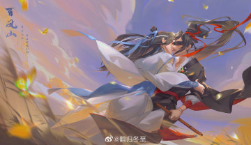 Картинка аниме mo+dao+zu+shi вэй усянь лань ванцзы