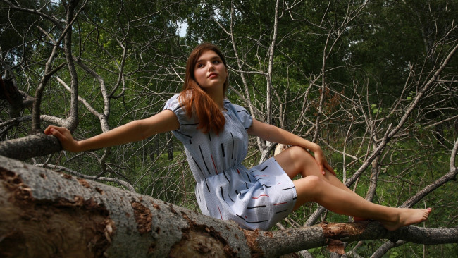 Обои картинки фото девушки, - рыжеволосые и разноцветные, дерево, ствол, рыженькая, поза, платье