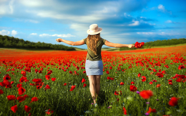 Обои картинки фото девушки, - рыжеволосые и разноцветные, луг, маки, алые, рыженькая, шляпка