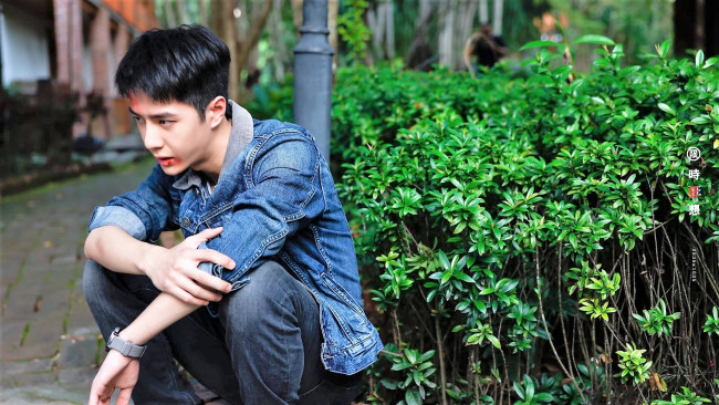 Обои картинки фото кино фильмы, being a hero, чэнь, юй, ссадины, кусты