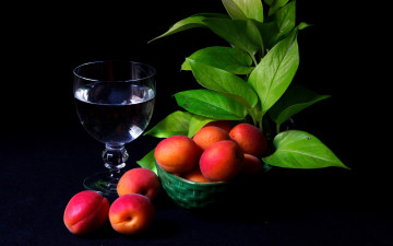 Картинка еда персики +сливы +абрикосы абрикосы