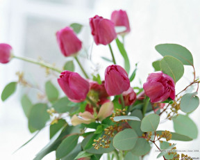 Картинка цветы букеты композиции