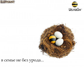 Картинка юмор приколы