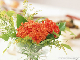 Картинка цветы букеты композиции